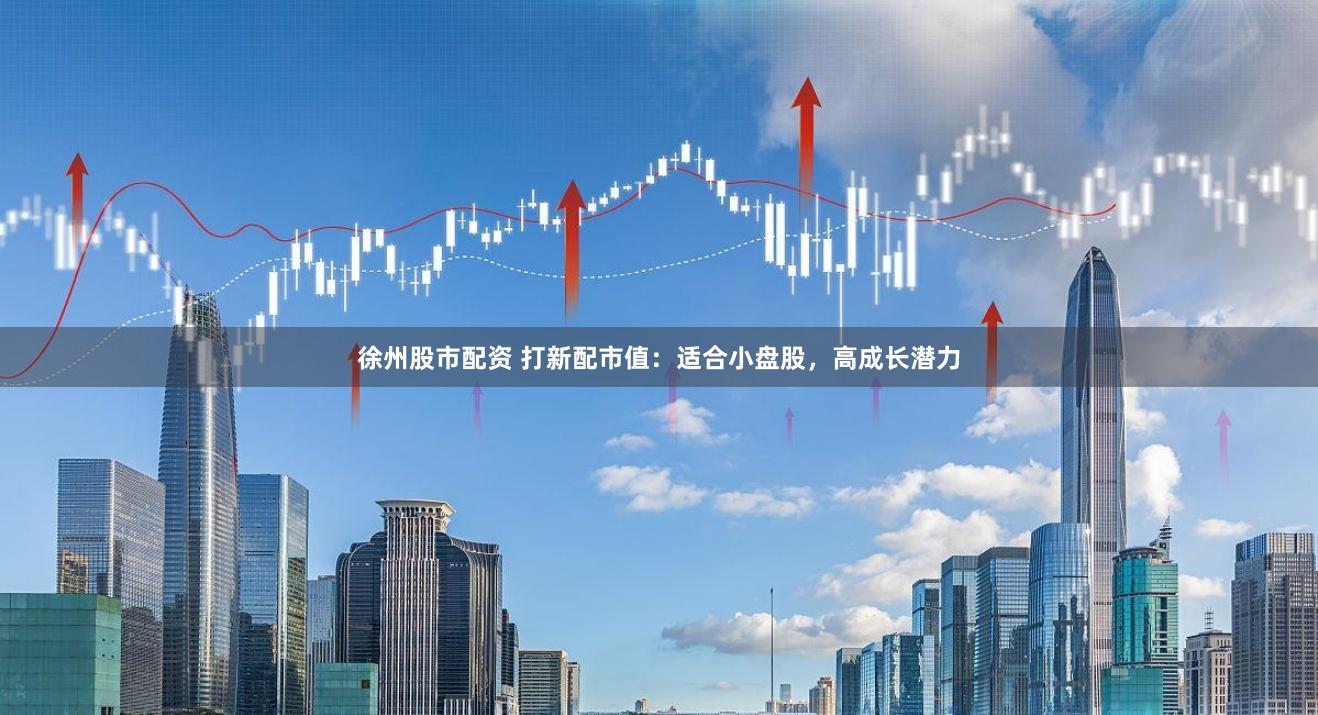 徐州股市配资 打新配市值:适合小盘股,高成长潜力