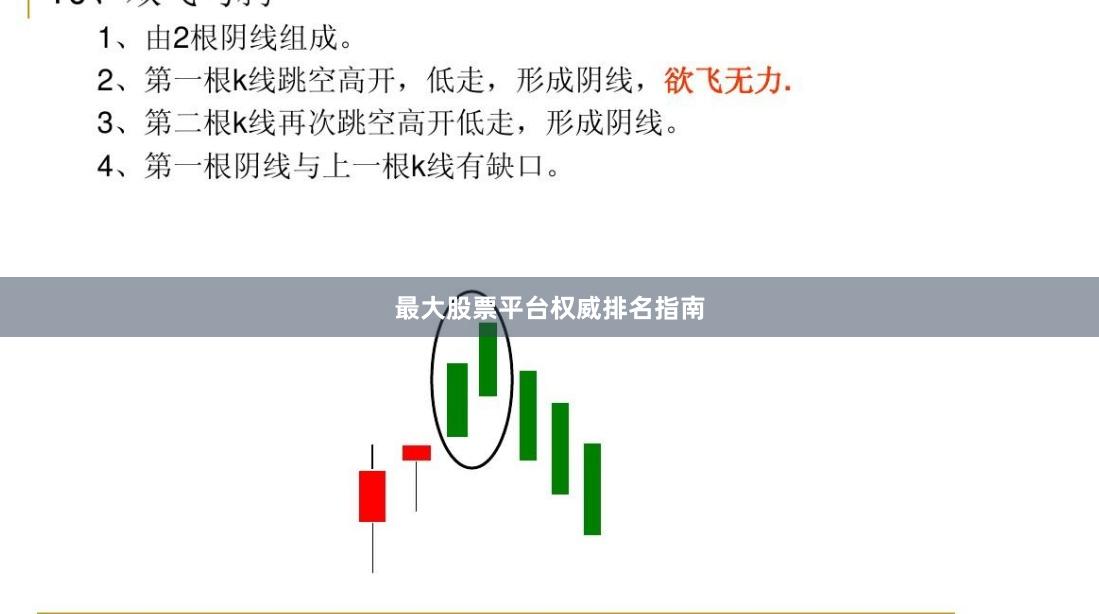 最大股票平台权威排名指南